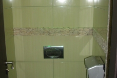 DSCI0079